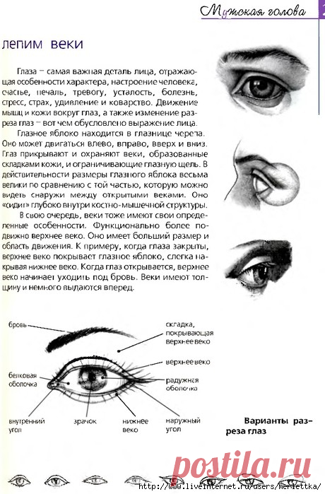(61) Одноклассники