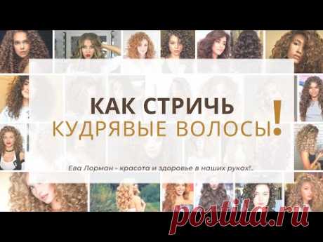 Как стричь кудрявые волосы! Ошибки с кудрявыми волосами! Ева Лорман