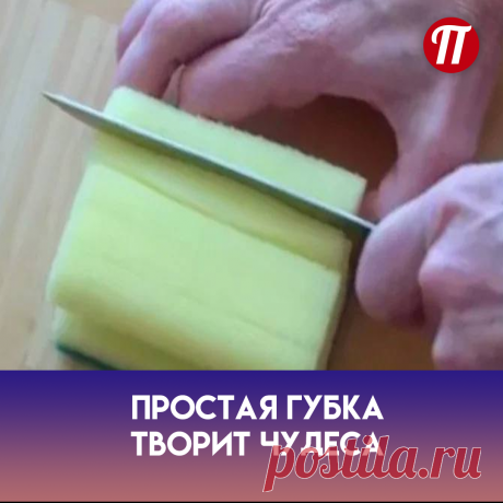 Наверное, у каждого было такое, когда залил своё комнатное растение, воды оказалось много и она вышла из горшка и осталась некрасивой лужей на полу.

Вот и у меня такое точно было. Но, я исправилась и помогла своим растениям удерживать воду и влагу, предварительно подложив губку на дно цветочного горшка, а сверху неё разместила цветок. Губка поможет сохранить часть влаги, в которой нуждается растение, а также оставит немного места на дне для корней. Все мои растения выглядят потрясающе.