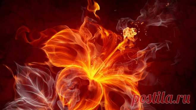 Cute Wallpapers Cute Fire Background Pinterest Fire Flower Wallpapers Full res image named Cute Wallpapers Cute Fire Background Pinterest Fire Flower Wallpapers at 1440x810 added by marysa_33. 16010537