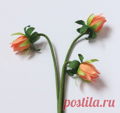 All Things Paper: Crepe Paper Flowers by A Petal Unfolds
