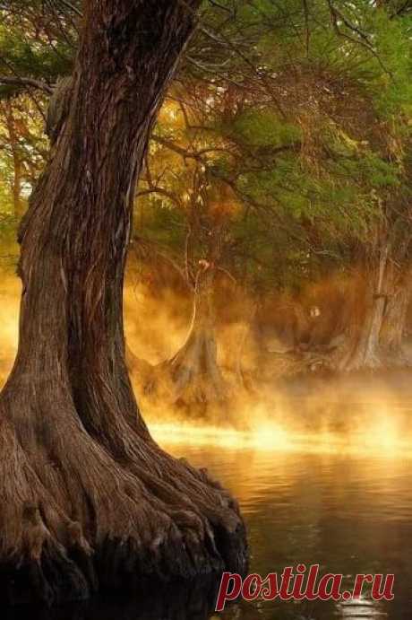 Kirill Gerusov – Google+