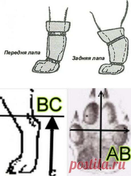 Обувь для собак своими руками