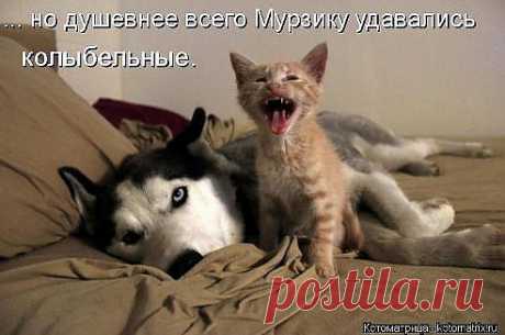 Одноклассники