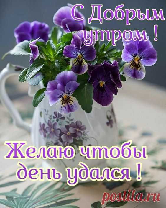 (3) Pinterest