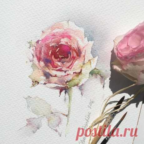 Акварельные зарисовки...
Немного солнца, которое всегда ждём с нетерпением, а оно играет с нами в прятки и никогда не позволяет далеко убрать куртки☀️🌥
И хочу напомнить для тех, кто пропустил-забыл-отложил на потом, что ещё два дня вы можете воспользоваться моей скидкой и приобрести учебный видео-курс на @lectoroom. Вся подробная информация постом ниже👇

#art #artist #paint #painting #watercolor #watercolorpainting #acuarela #aquarelle #aquarell #акварель #этюд #topcreat...