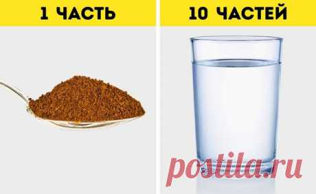 11 ошибок, из-за которых кофе не получается по-настоящему вкусным: