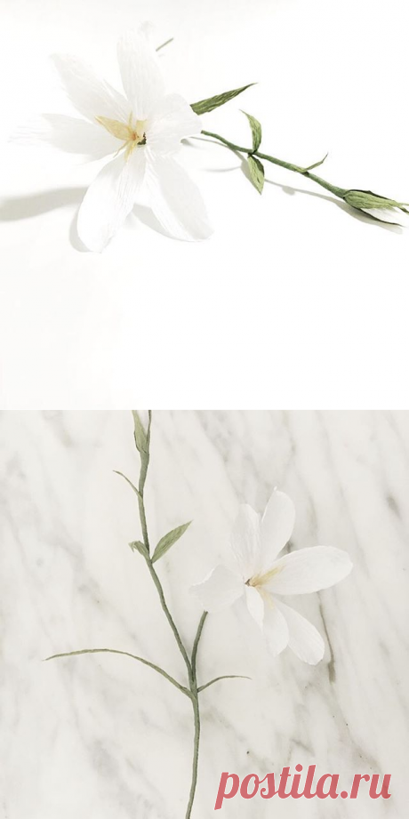 Yuk Wah Leung (@amidstthedust) • Фото и видео в Instagram
