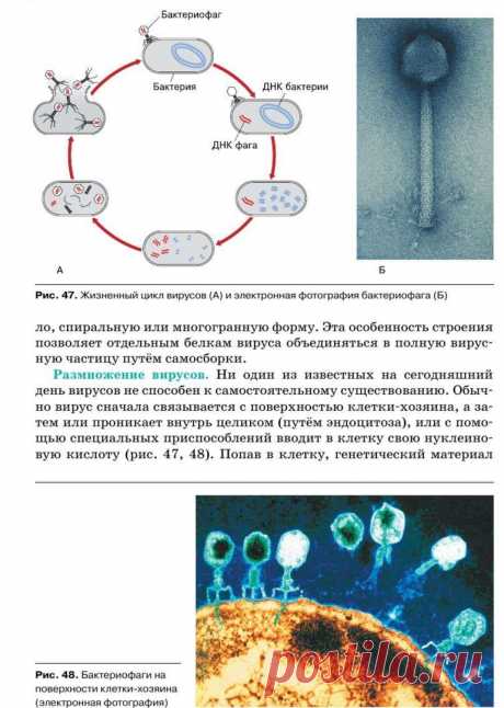 wLh-5PF76-U.jpg (769×1080)