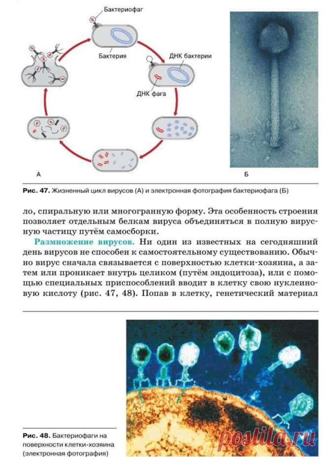 wLh-5PF76-U.jpg (769×1080)