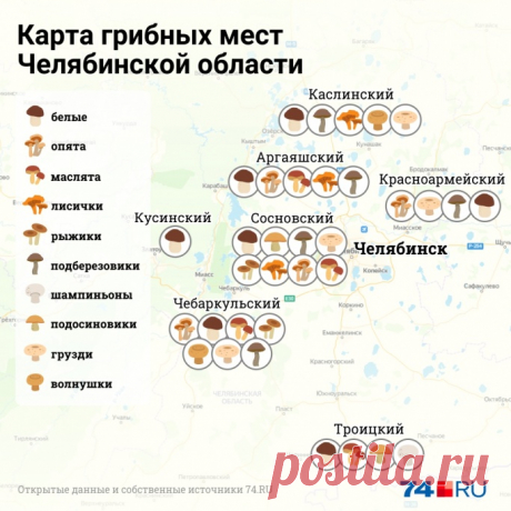 11fa3b74d426cbd93c6bc789ba47646f00507bf1_683_683_c.jpg (683×683)