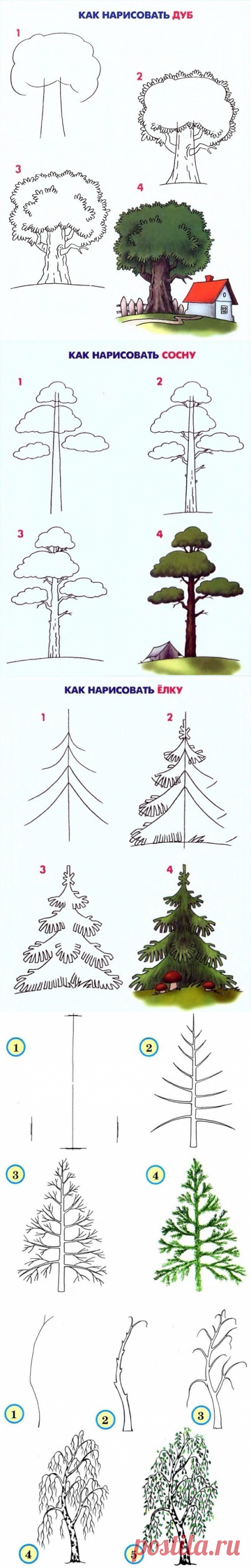 рисуем дерево