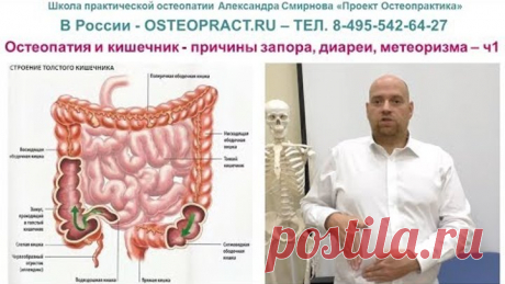 Остеопатия и кишечник - причины запора, диареи, метеоризма – ч.1