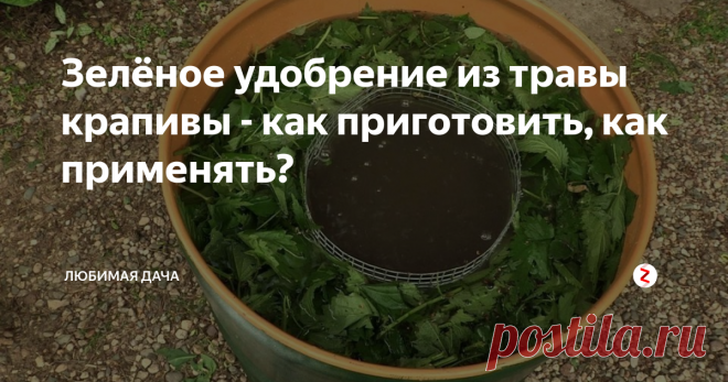 Подкормка из крапивы для растений рецепт приготовления. Удобрение из крапивы. Удобрение из сорняков. Зеленое удобрение. Травяной настой для подкормки растений.