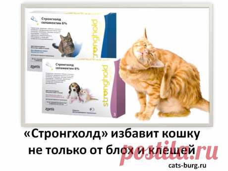 У нас ветеринар, ну просто мечта…. он говорит, что вы можете пойти и купить хоть 10 разных препаратов, но доверяет на 100% он лишь стронгхолду.