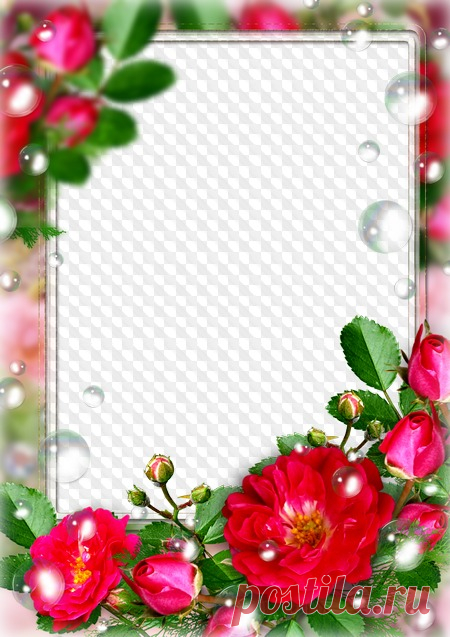 Marco de fotos Rosas rojas. Marco PNG transparente, plantilla de marco de fotos en capas PSD, descarga.