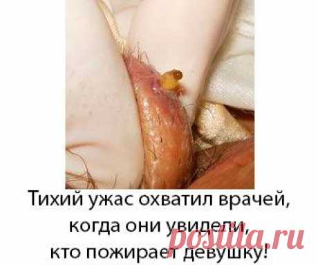 Создать огненный текст, создать горящий текст, анимированный горящий текст
