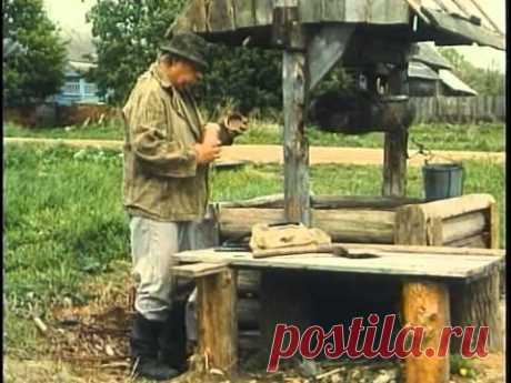 Не валяй дурака (Америка) 1997 DVDRip