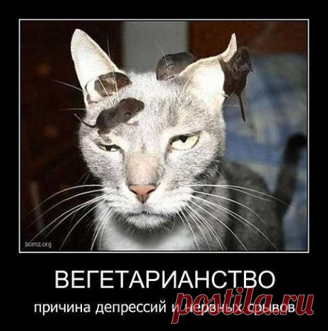 Искусство кулинарии