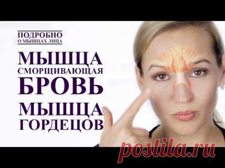 КАК УБРАТЬ МЕЖБРОВКУ.  МЫШЦА СМОРЩИВАЮЩАЯ БРОВЬ