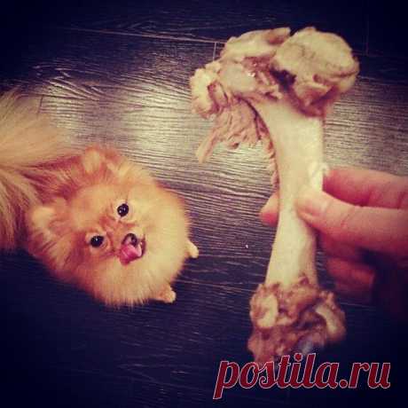 mmmmm...i like it! 

От https://instagram.com/sorrysoba
