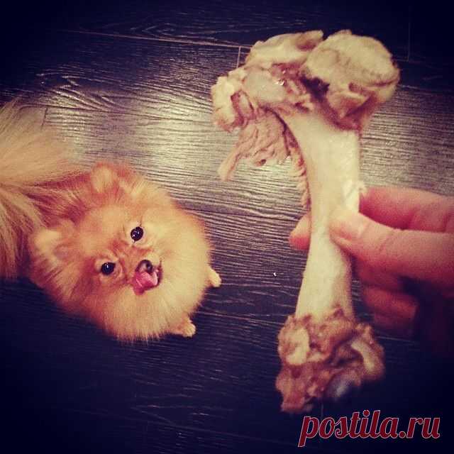 mmmmm...i like it! 

От http://instagram.com/sorrysoba