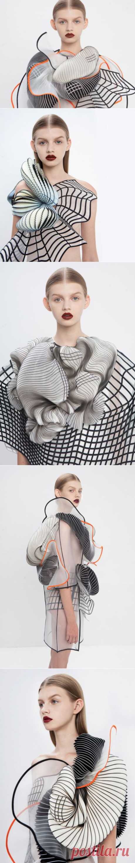 Уникальная коллекция 3D-одежды, украшенной объёмными элементами | Мода