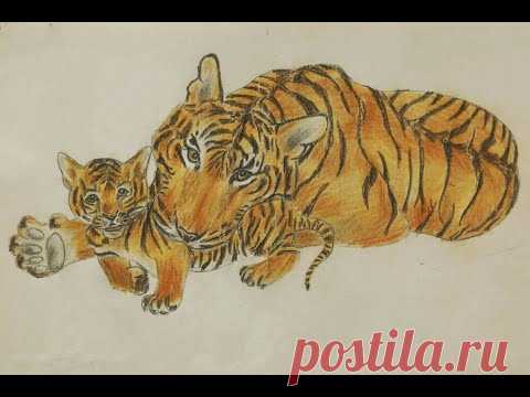 Детские рисунки цветными карандашами. Тигры
