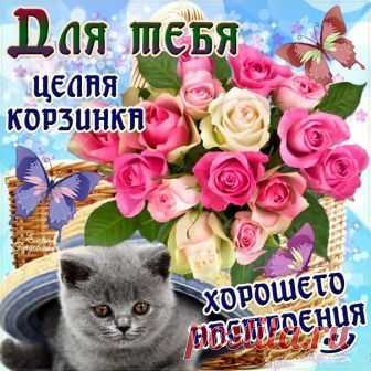 С ДОБРЫМ УТРОМ ЛЮБИМАЯ ...