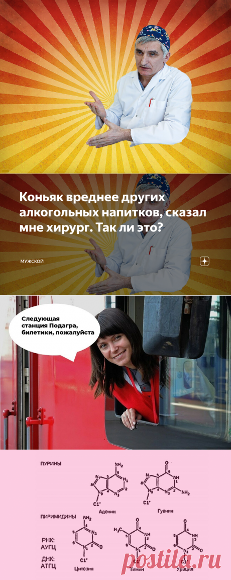 Коньяк вреднее других алкогольных напитков, сказал мне хирург. Так ли это? | МУЖСКОЙ | Яндекс Дзен