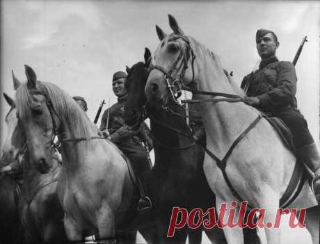 Мальчик. Рассказ о войне. — Эх! Не выживет! - старый конюх сокрушенно помотал головой.
— Дедуль, чего не выживет-то?
—  Кобыла уже старая, да и родился он раньше времени.
—  Можно, я себе его заберу?