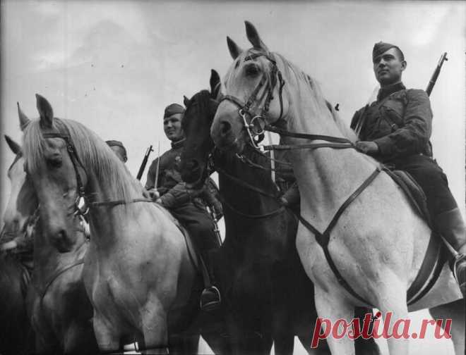 Мальчик. Рассказ о войне. — Эх! Не выживет! - старый конюх сокрушенно помотал головой.
— Дедуль, чего не выживет-то?
—  Кобыла уже старая, да и родился он раньше времени.
—  Можно, я себе его заберу?