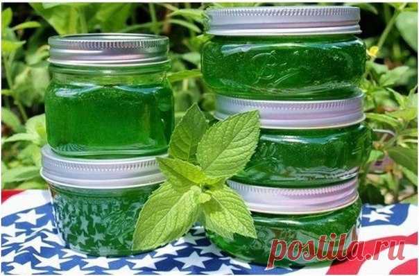 Варенье из мяты — невозможно описать этот сногсшибательный вкус и аромат! — Мой милый дом