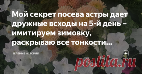 Мой секрет посева астры дает дружные всходы на 5-й день – имитируем зимовку, раскрываю все тонкости процесса Статья автора «Зелёные истории» в Дзене ✍: Как посеять астру так, чтобы получить гарантированные 100% всходы уже на 5-й день? Раскрываю для вас все нюансы и тонкости этого процесса.