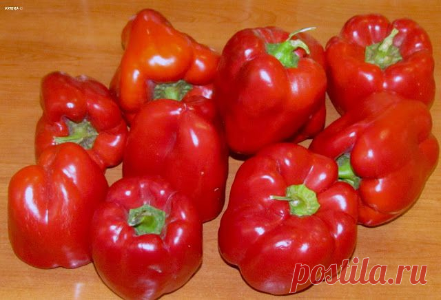 Лечо (заготовки)