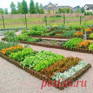 10 причин создать декоративный огород