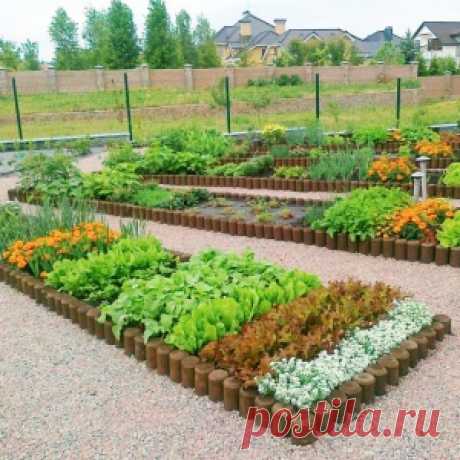 10 причин создать декоративный огород