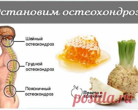 Темы дня