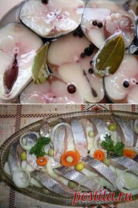 Как солить селедку?