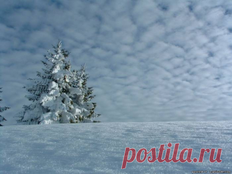 Снег зима картинки - Зима картинки - Фото мир природы