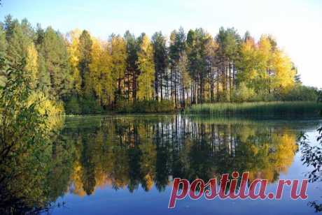 (+1) комм - Красивое рядом... | Фотоискусство