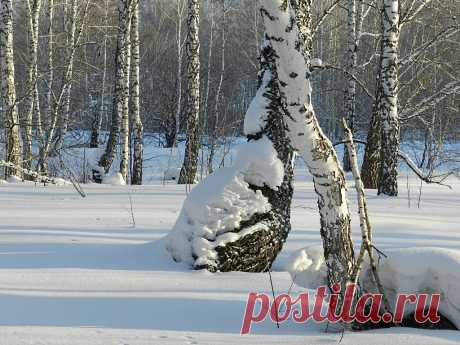 ФОТОМАСТЕРСКАЯ ПРИРОДЫ
Вера Кроликова