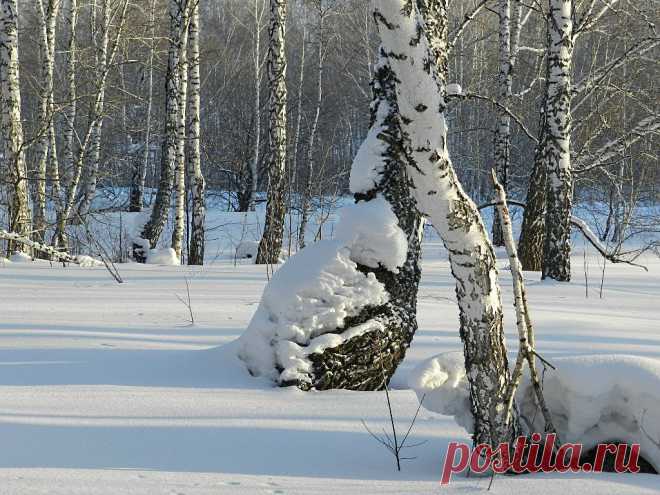 ФОТОМАСТЕРСКАЯ ПРИРОДЫ
Вера Кроликова
