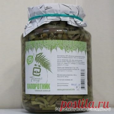 Папоротник орляк: рецепты приготовления на зиму » Популярно о здоровье