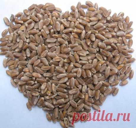 Полезные злаки, о которых вы еще не слышали