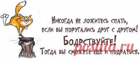 Прикольные высказывания в картинках