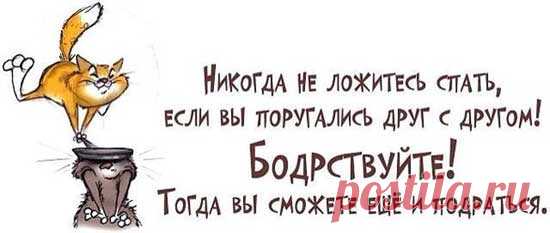 Прикольные высказывания в картинках