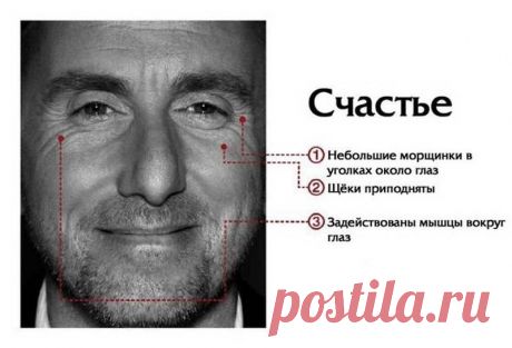 Зоны НАПРЯЖЕНИЯ лица: ЧТО с ними связано? | Всегда в форме!