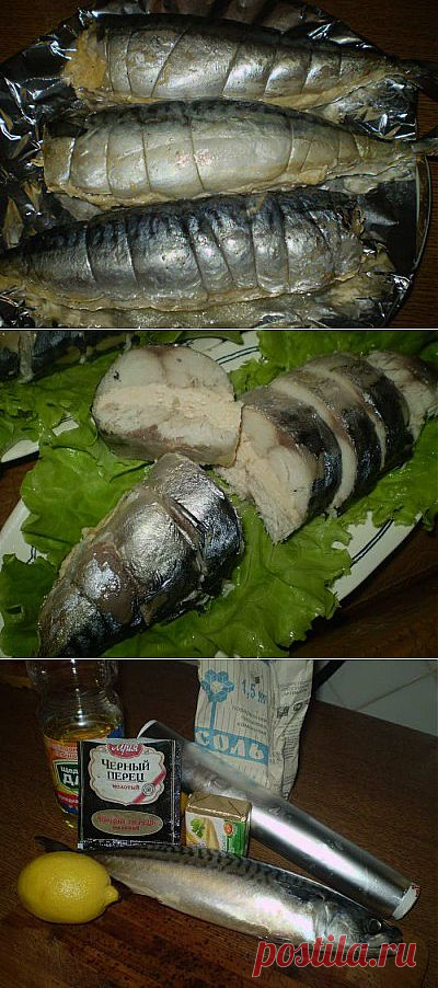 ДНЕВНИК ГОЛУБКА_-_БЕЛОСНЕЖНАЯ