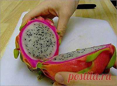 Фрукты.